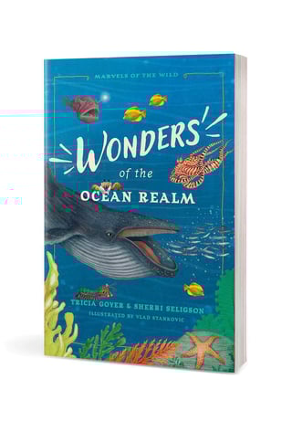 Wonders of the Ocean Realm