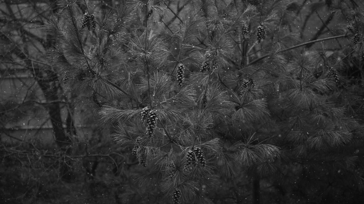 When Christmas Hurts Blog